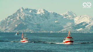 Lofotfisket  Henningsvær [upl. by Anallij]