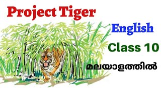 Project Tiger  Class 10  English  Scert  explained in malayalam [upl. by Sylera294]