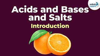 Acids and Bases and Salts  Introduction  Chemistry  Infinity Learn [upl. by Nesila675]