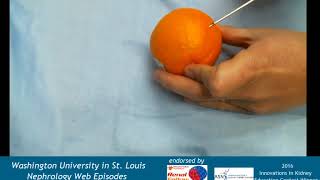 Web Episode 025b  Kidney Biopsy Handson Demonstration [upl. by Eeresed]