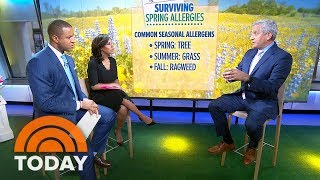 How To Survive Spring Allergies — And Prevent Them Before Symptoms Start  TODAY [upl. by Tacy]