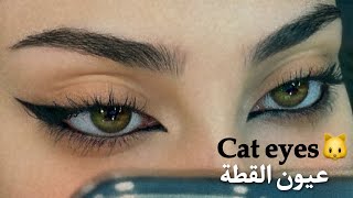 Feline Cat eyeliner طريقة ايلاينر القطة بالتفصيل للمبتدئين  رغد حمزة [upl. by Laniger]