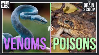 Venoms vs Poisons [upl. by Weber767]