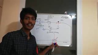 proton pump inhibitors PPIs [upl. by Holcman921]