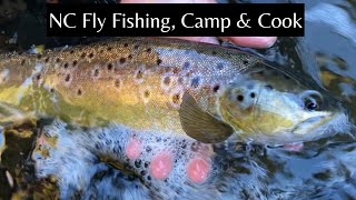 North Carolina Camping amp Trout Fishing Adventure 2021 [upl. by Eromle]