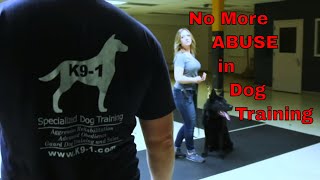 Learn About Foundation Style Dog Training K91com [upl. by Venu869]