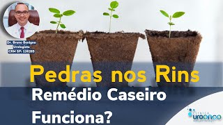 Remédio Caseiro Elimina Pedra nos Rins Mito ou Verdade [upl. by Ettevets420]