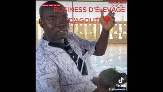 Emmanuel KABLAN  business délevage dagoutis ou aulacodes de AULACODE CÔTEDIVOIRE [upl. by Jecon]