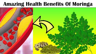 Amazing Health Benefits Of Moringa Drumstick Tree Eat Moringa Everyday To Get These Benefits [upl. by Abelard573]