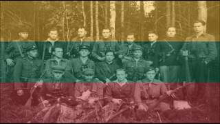 Alyte Lithuanian song of freedom [upl. by Bruce593]