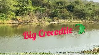 CROCODILE 🐊 Coming In Our Fishing Spot [upl. by Faxon]