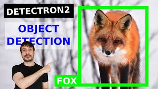 Train custom object detector with Detectron2  Computer vision tutorial [upl. by Mercy619]