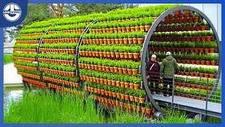 12 Impressive Farms Machines And Technologies You Havent Seen Before [upl. by Antsirhc]