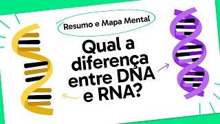 DNA E RNA  QUER QUE DESENHE  MAPA MENTAL [upl. by Bertolde473]