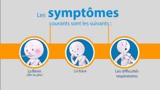 OMS Coronavirus du syndrome respiratoire du MoyenOrient [upl. by Woodhead]