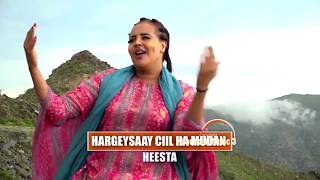 FARXIYA FISKA  HARGEISAAY CIIL HA MUDAN  MUUQAAL LAYAAB LEH  HORNSAT MUSIC SHOW LIVE [upl. by Preiser]