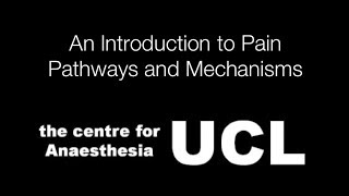 An Introduction to Pain Pathways and Mechanisms [upl. by Magbie180]