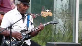 Groovin In The Gardens with The Detroit Don King Blues Band  6 [upl. by Anigal621]