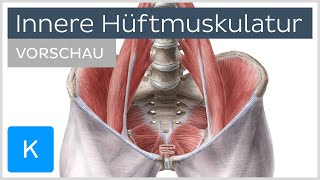 Innere Hüftmuskulatur Anatomie und Funktion Vorschau  Kenhub [upl. by Cavit]