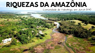 Viagem a uma comunidade de Juruti no Pará  Tabatinga Rio Amazonas Turismo Aqui [upl. by Norvun]