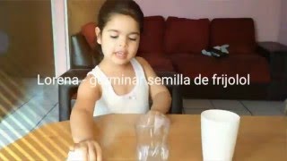 Germinar semillas para niños de kinder [upl. by Nima]