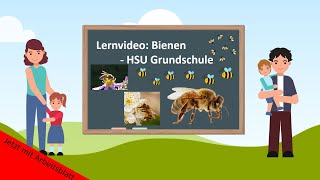 Lernvideo Bienen 🐝 HSU Grundschule [upl. by Redvers]