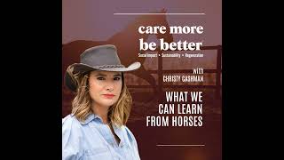 What We Can Learn From Horses With Christy Cashman [upl. by Bogoch647]