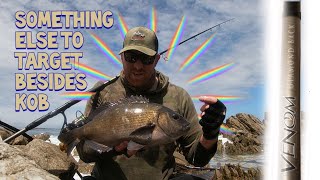 HOW to catch BIG Cape Bream Hottentot from the side I Tackle amp Tips [upl. by Eimmit]