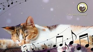 528Hz Healing Music to Calm Your Cat  Stress Relief Relaxation [upl. by Faruq306]