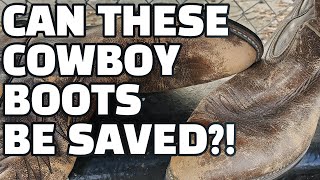 Cowboy Boot Restoration  Cowboy Boot Shine  ASMR  Red Wing Pecos 9801 [upl. by Daisi865]