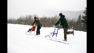 Kicksled Feeling Like a Kid Again [upl. by Allyn]