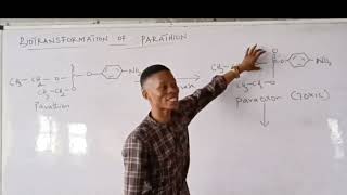 Biotransformation of Parathion [upl. by Chapel]