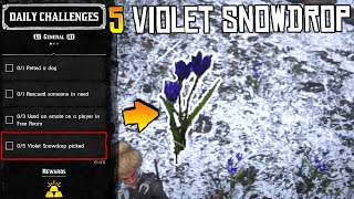 5 Violet Snowdrop Picked  Red Dead Online Daily Challenge  Violet Snowdrop Locations [upl. by Phionna]