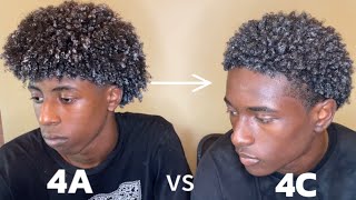 Wash and Go Experiment Type 4a vs 4C Curls  Curly Hair Tutorial [upl. by Som]