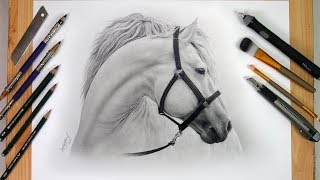 Drawing a White Horse  PencilampDryBrush  KazemFineArt [upl. by Nibla]