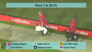 Crayford Greyhounds Races on 13th October 2024 [upl. by Immac584]