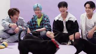 SEVENTEEN The Puppy Interview [upl. by Minny]