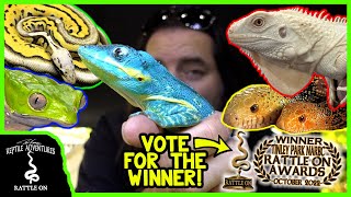 NARBC REPTILE EXPO TINLEY PARK October 2022 [upl. by Leeland]