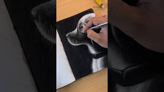 Dog Puppy drawing using charcoal  Tutorial ✨ shorts [upl. by Kalli]