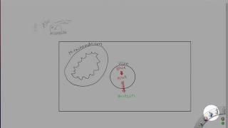 Biochemie Lite Teil 13 [upl. by Seppala]