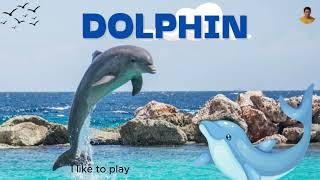 Dolphin song for kids  Uncle Yellow [upl. by Perseus]