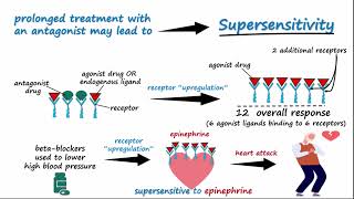 Drug Tolerance [upl. by Weisler]