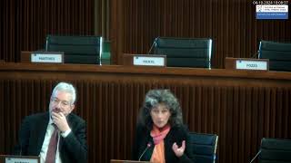 Intervento in III commissione su Legge di assestamento 04102024 [upl. by Nalniuq310]