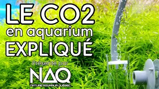 Expliquer le CO2 en aquarium pour réussir votre aquascape [upl. by Philomena]