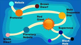 Life Cycle of a Star in Hindi  Info ReX [upl. by Salinas718]