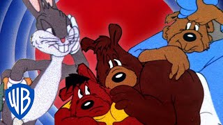 Looney Tunes  Bunny and the Three Bears  WB Kids [upl. by Orfield]