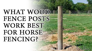 Best Horse and Livestock Fence Panels For Your Cattle Ranch [upl. by Elata685]