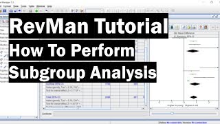 RevMan Tutorial  How To Perform Subgroup Analysis [upl. by Schell]