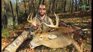 Giant PUBLIC LAND PA Archery Buck [upl. by Neiht]