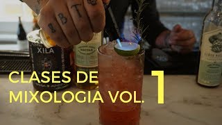 MIXOLOGIA FÁCIL elaboración de cócteles y actividades de una Bar [upl. by Erdah]